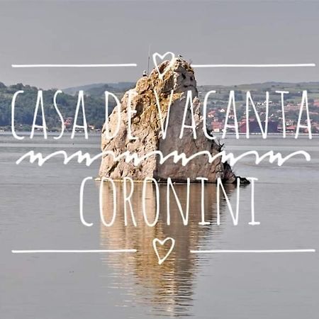 Casa De Vacanta Danube Moldova Noua Екстериор снимка